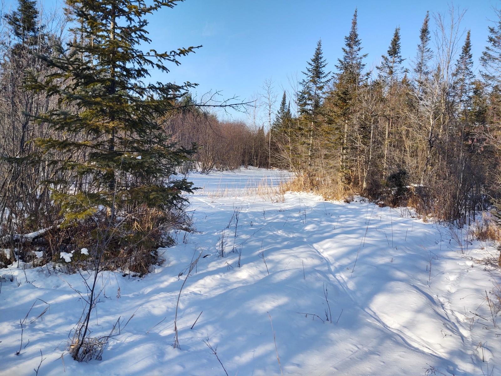 9710 Long Rapids Road Alpena, MI 49707 - Photo 18 of 30 Gallery Image 18