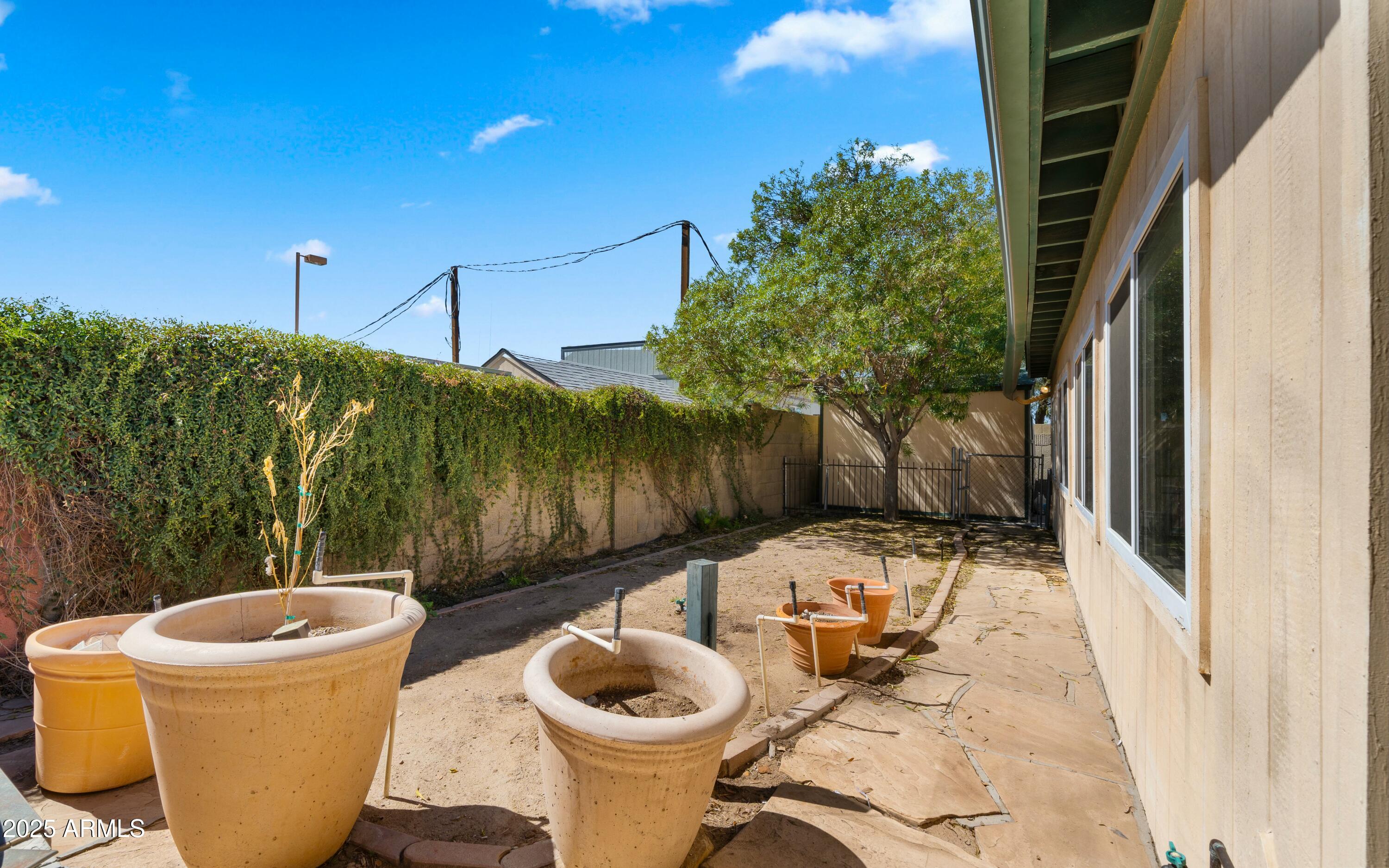 5833 West Hearn Road Glendale, AZ 85306 - Photo 19 of 25 Backyard