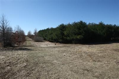 31730 Leach Road Dowagiac, MI 49047 - Photo 1 of 4 Primary Photo