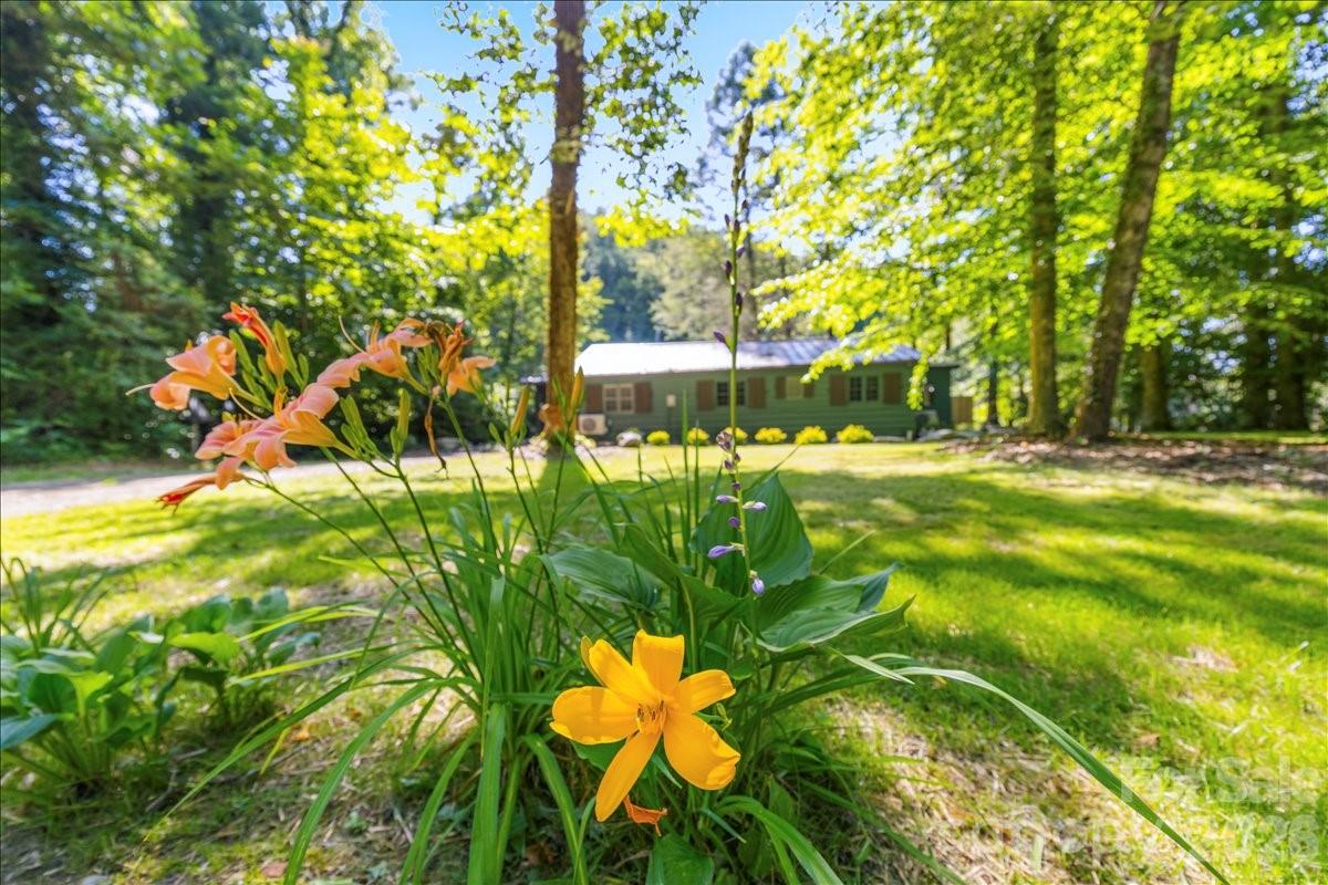 1878 Linville River Road Nebo, NC 28761 - Photo 17 of 37
