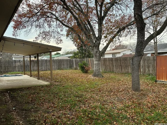 a view of a garden with plants and wooden fence