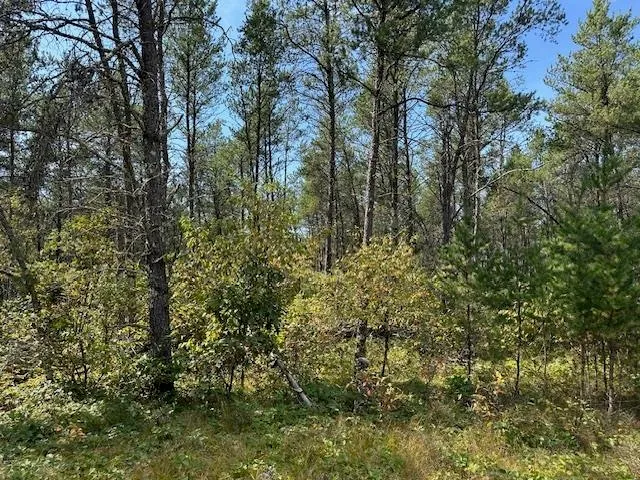 $199,900 | 36.34-ac 36.34-ac Retirement, Necedah, WI 54646