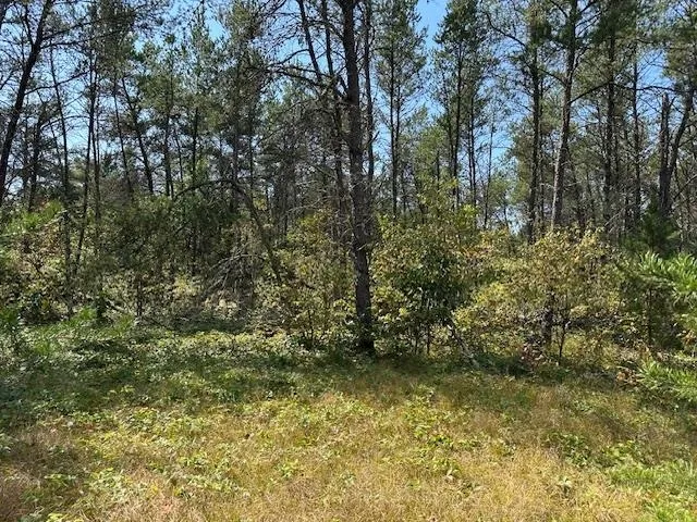 $199,900 | 36.34-ac 36.34-ac Retirement, Necedah, WI 54646