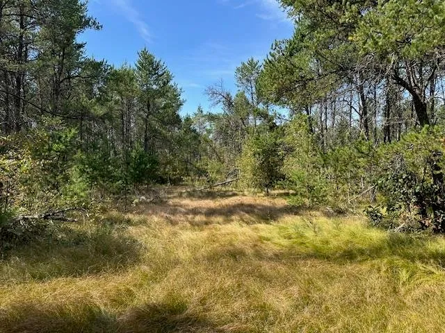 $199,900 | 36.34-ac 36.34-ac Retirement, Necedah, WI 54646