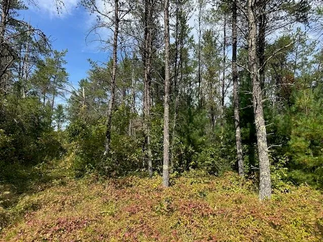 $199,900 | 36.34-ac 36.34-ac Retirement, Necedah, WI 54646