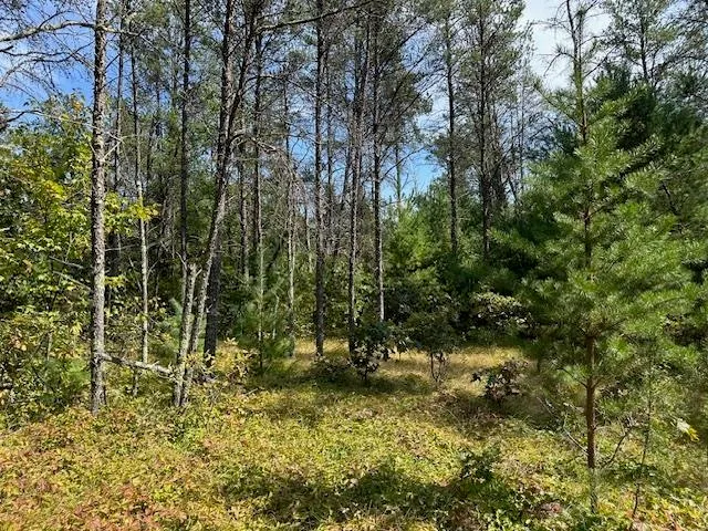 $199,900 | 36.34-ac 36.34-ac Retirement, Necedah, WI 54646