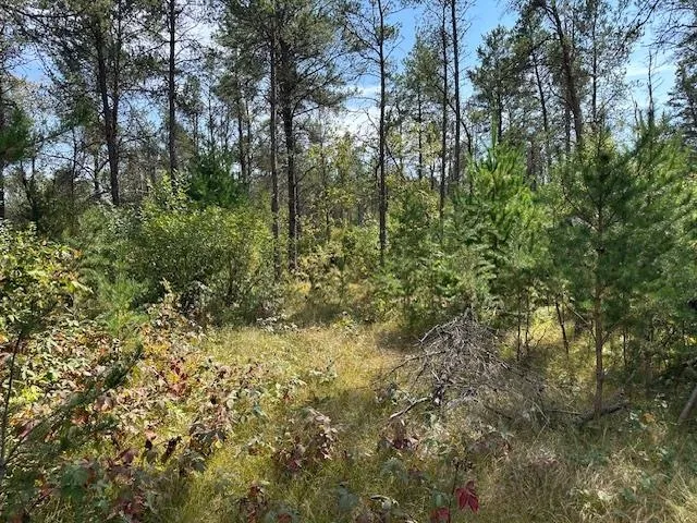 $199,900 | 36.34-ac 36.34-ac Retirement, Necedah, WI 54646