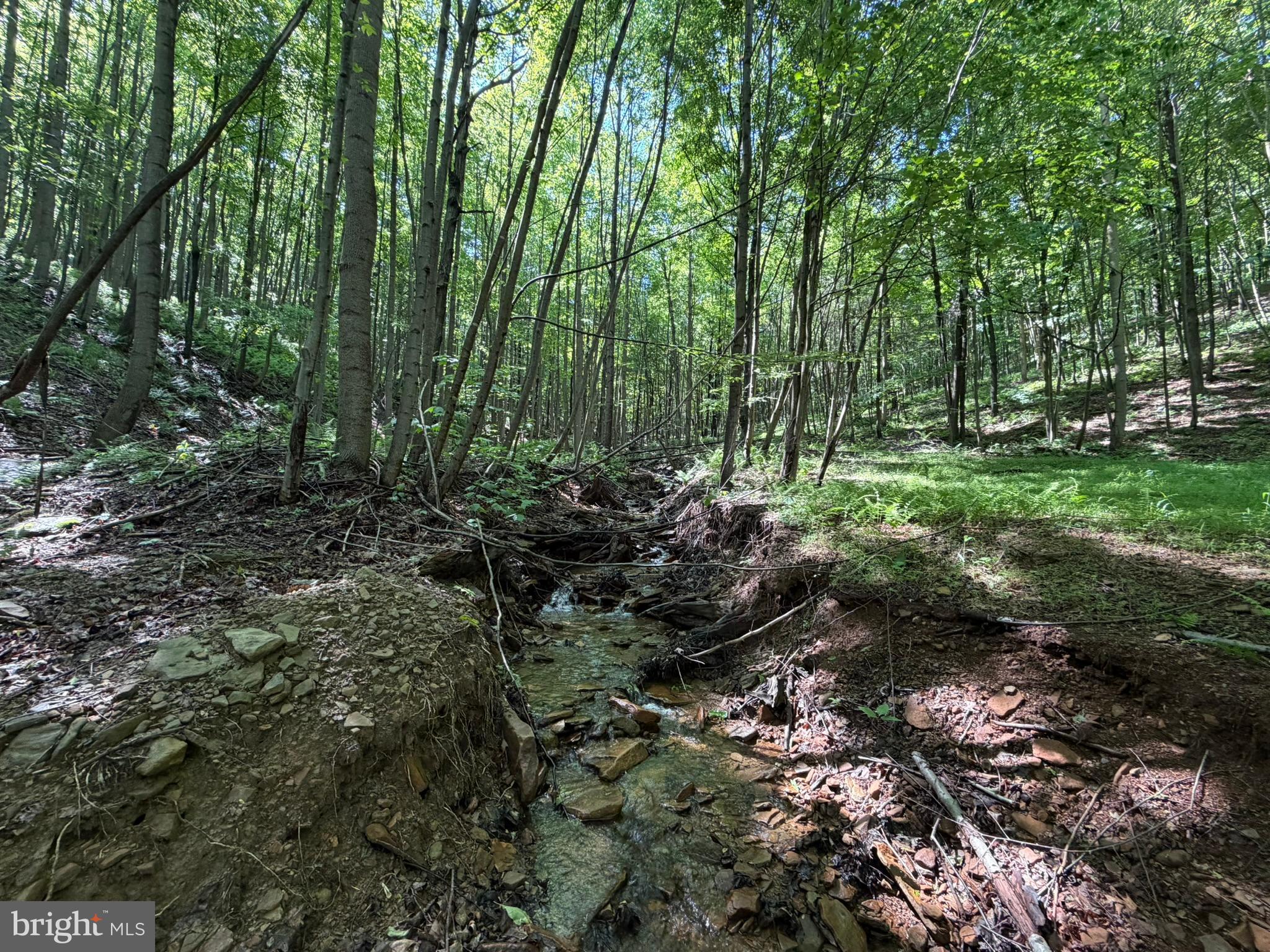 848 Sugar Camp Road Clearfield, PA 16830 - Photo 102 of 118