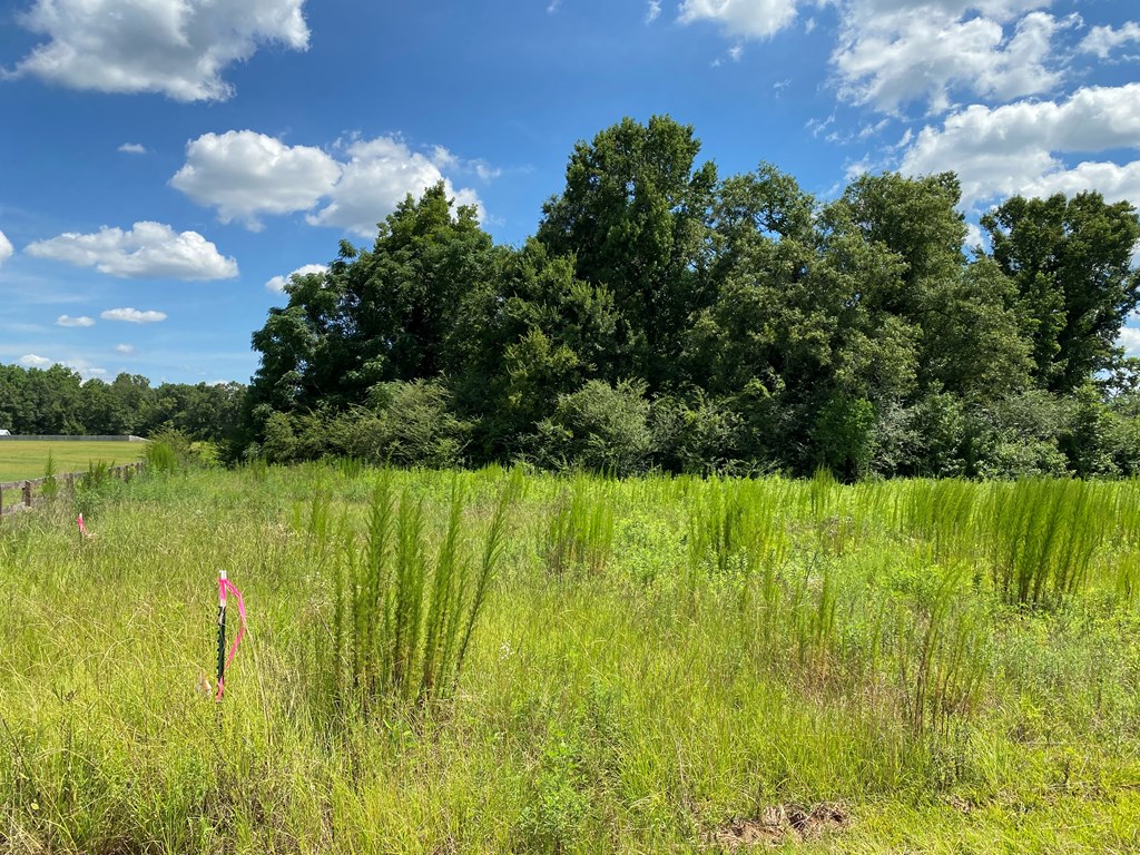 16-ac 16-ac National Road Dothan, AL 36301 - Photo 10 of 45