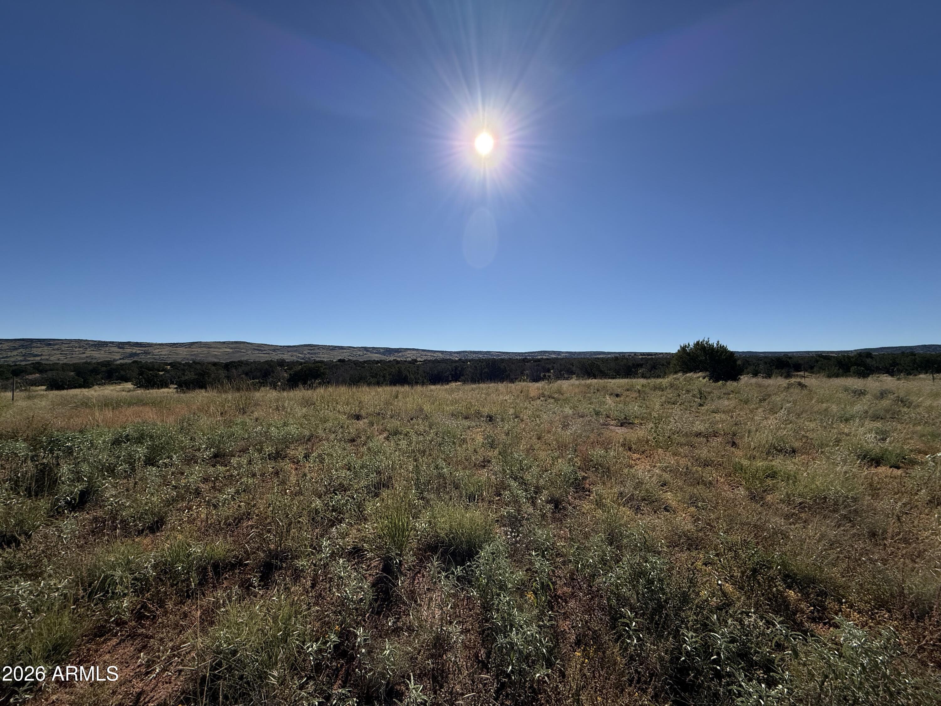 100 North County Road 5331 Road Concho, AZ 85924 - Photo 5 of 15 IMG_8799