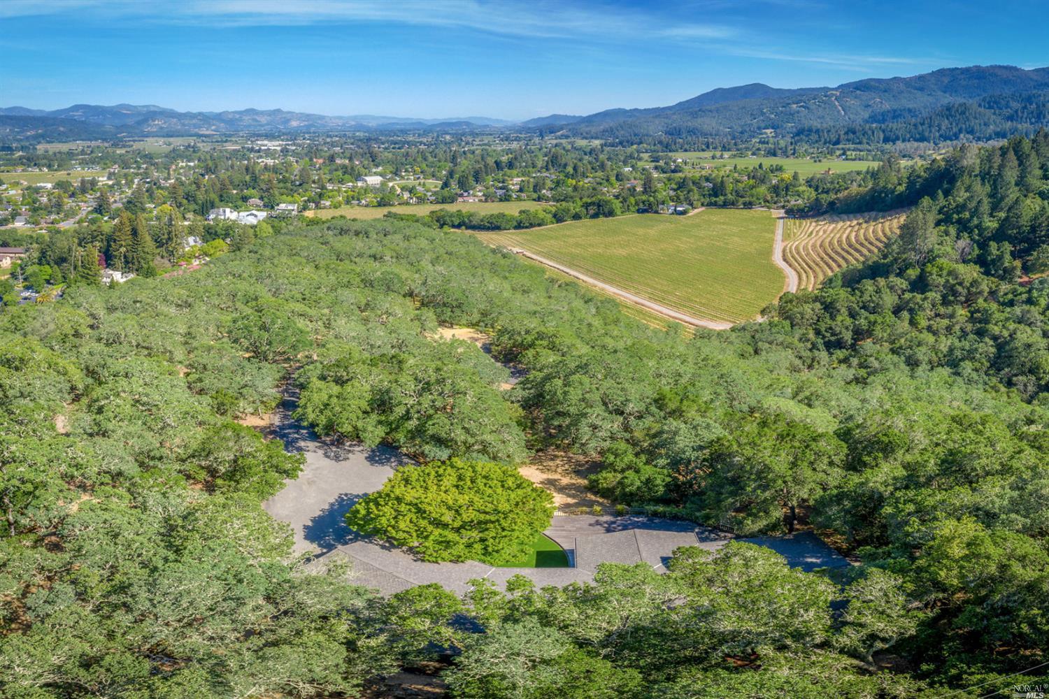 2486 Spring Mountain Road St. Helena, CA 94574 - Photo 1 of 1 a view of a lush green hillside and houses