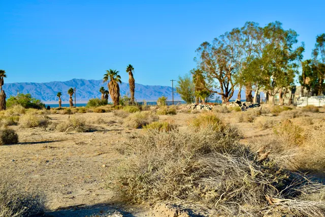 a view of a covered with snow on the road