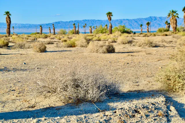 a view of ocean view