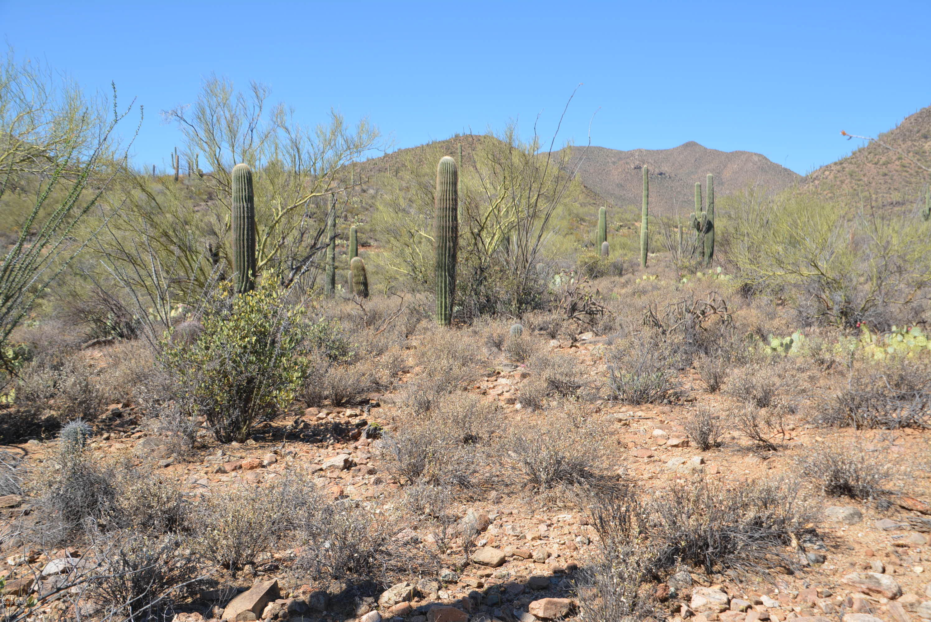 0 Broken Spring Tucson, AZ 85745 - Photo 19 of 24