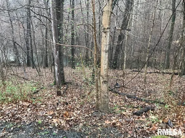 a view of outdoor space