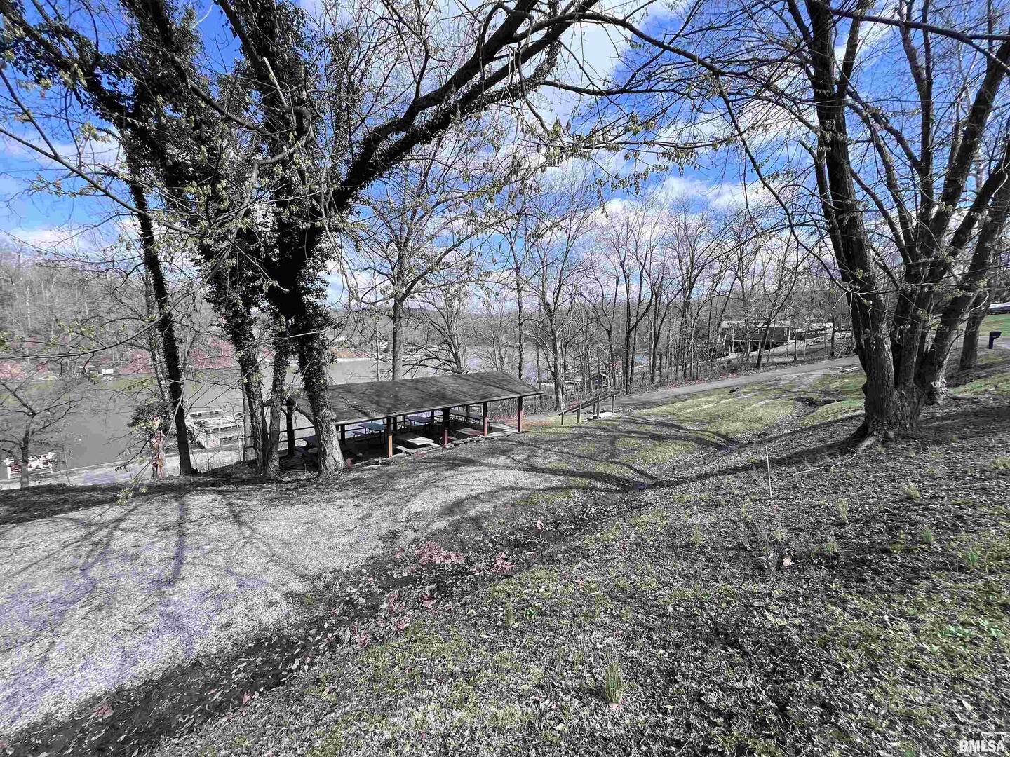 0 Deer Ridge Road Goreville, IL 62939 - Photo 16 of 18 a view of a yard with a tree