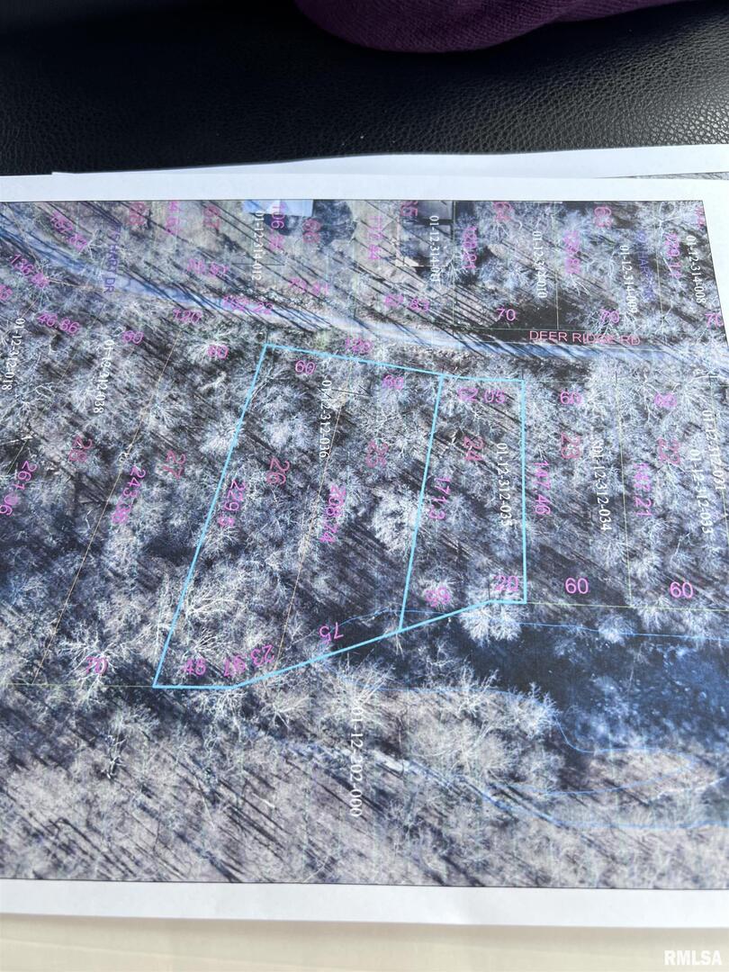 0 Deer Ridge Road Goreville, IL 62939 - Photo 7 of 18 a view of outdoor space