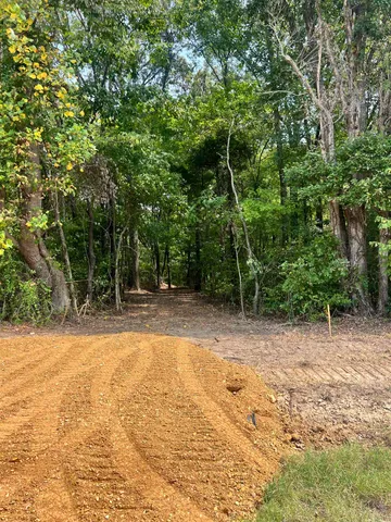 a view of a yard with trees