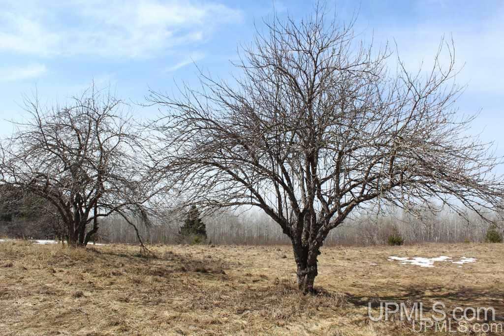 29776-29980 Post Road Lake Linden, MI 49945 - Photo 25 of 48 Gallery Image 25