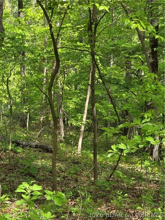$14,500 | Circle Road, Stover, MO 65078