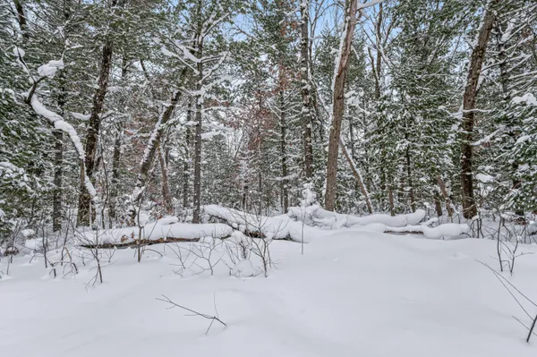 $8,000 | 0 Bradby Boulevard, Baldwin, MI 49304