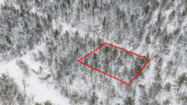 $8,000 | 0 Bradby Boulevard, Baldwin, MI 49304