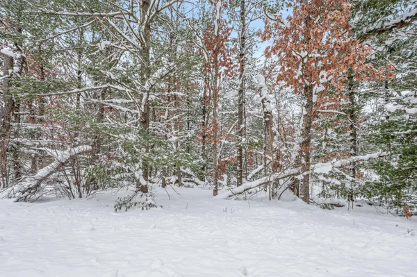 $8,000 | 0 Bradby Boulevard, Baldwin, MI 49304