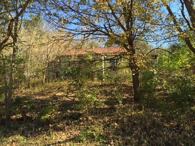1288 Saltwell Road Carlisle, KY 40311 - Photo 11 of 14 Photo 11