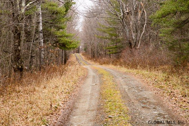 Anderson Road Middleburgh, NY 12122 - Photo 3 of 7 Photo 3