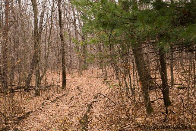 Anderson Road Middleburgh, NY 12122 - Photo 4 of 7 Photo 4