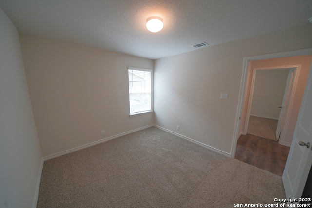 336 Great Raft Cibolo, TX 78108 - Photo 30 of 38
