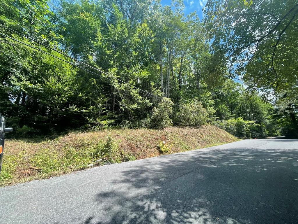 0 Bruce Road Gatlinburg, TN 37738 - Photo 1 of 11