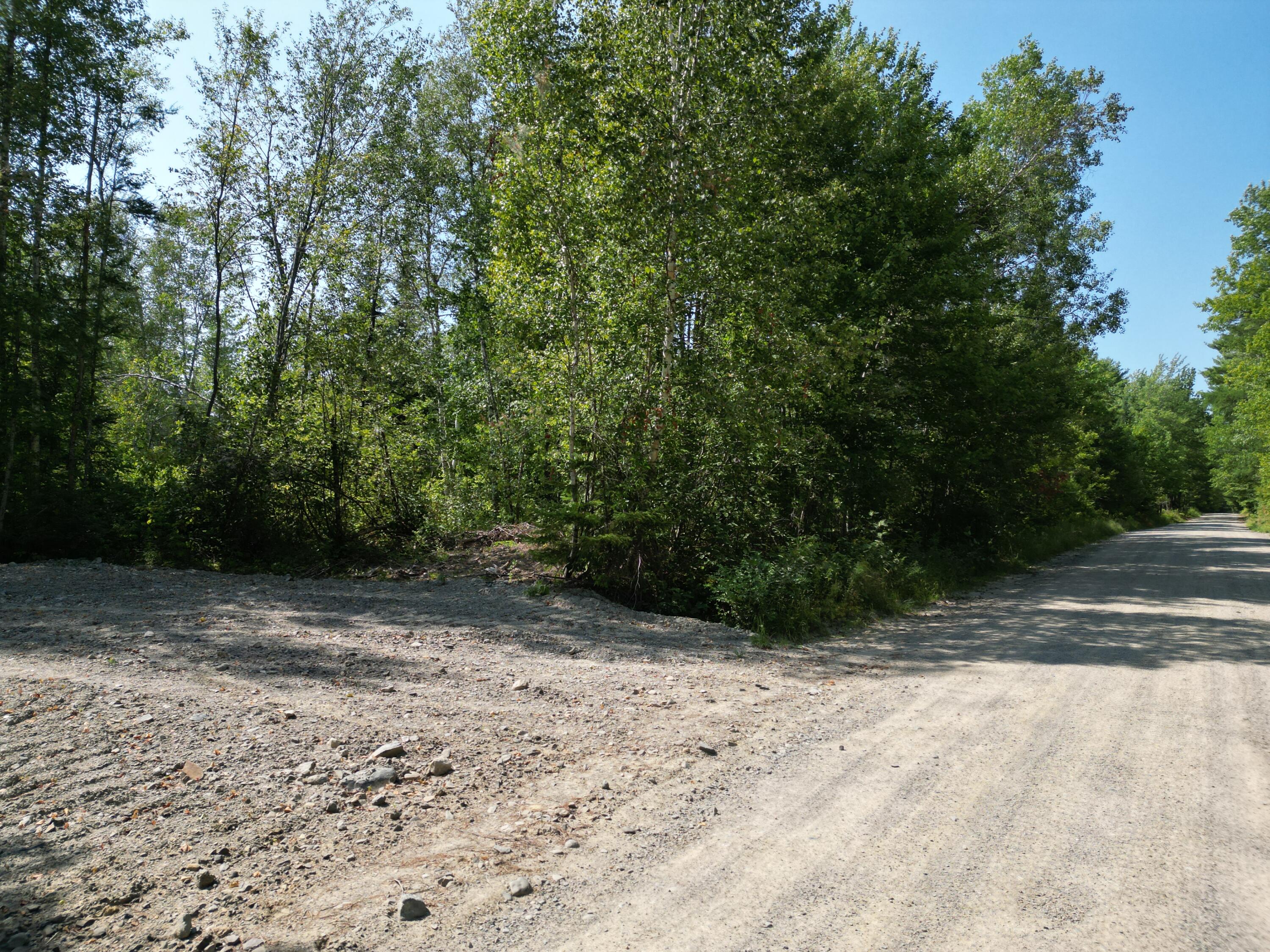 Lot 6 Fogg Brook Road Lowell, ME 04493 - Photo 5 of 16 DJI_0320