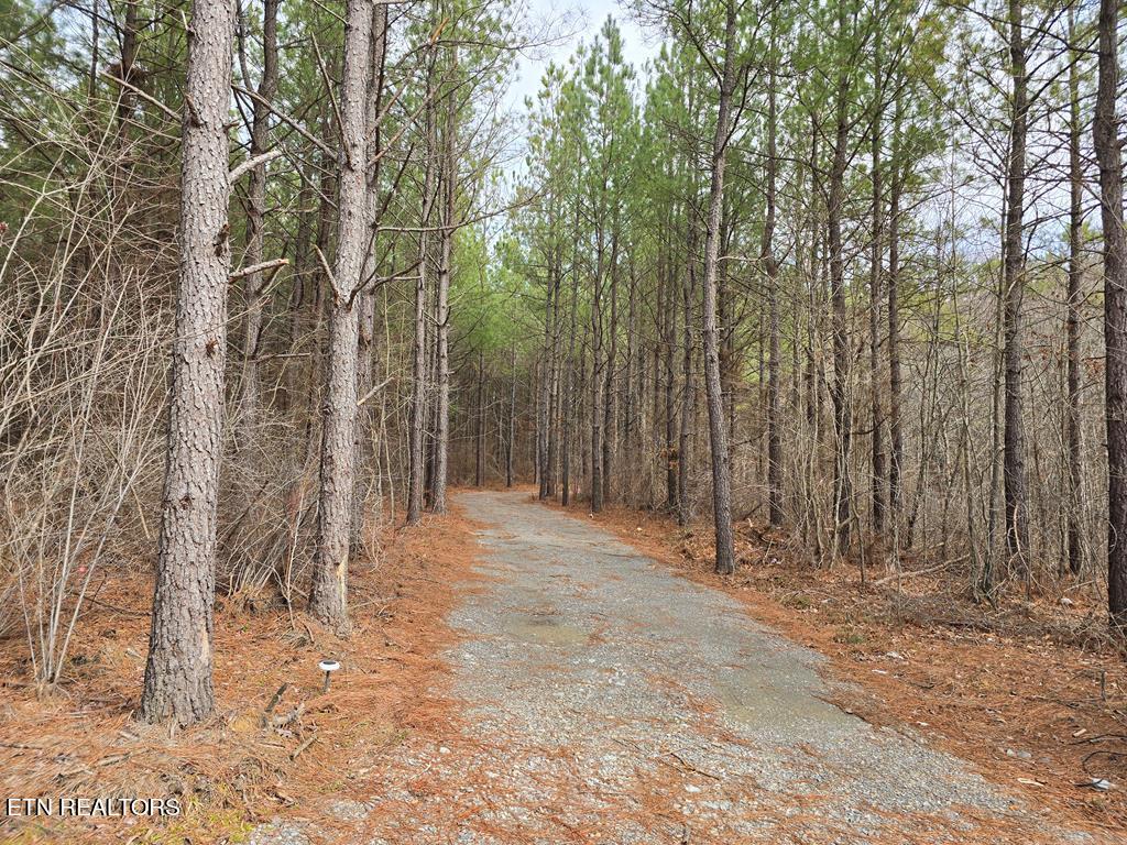 T23-l4 Sheep Ranch Road Robbins, TN 37852 - Photo 1 of 1 225993_0