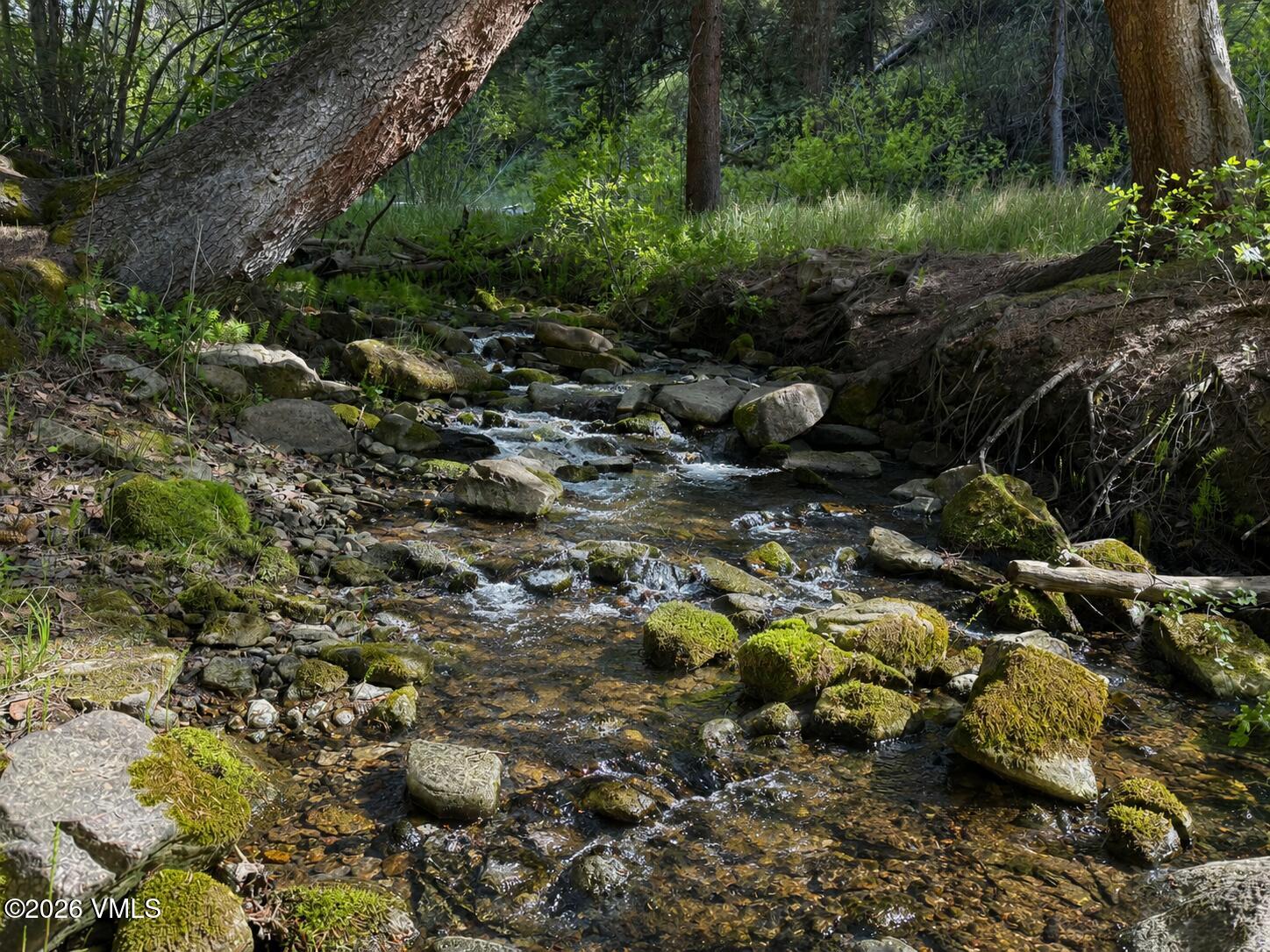 6010 Salt Creek Road Eagle, CO 81631 - Photo 25 of 69 Salt Creek Summer 2026