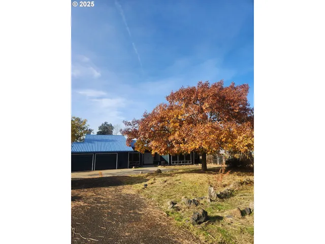 a view of a yard in front of a house