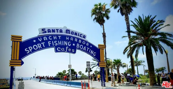 a view of palm trees and sign board