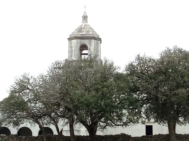 a view of a street with a tree