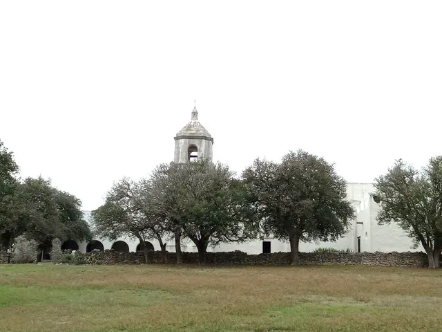a view of outdoor space with trees