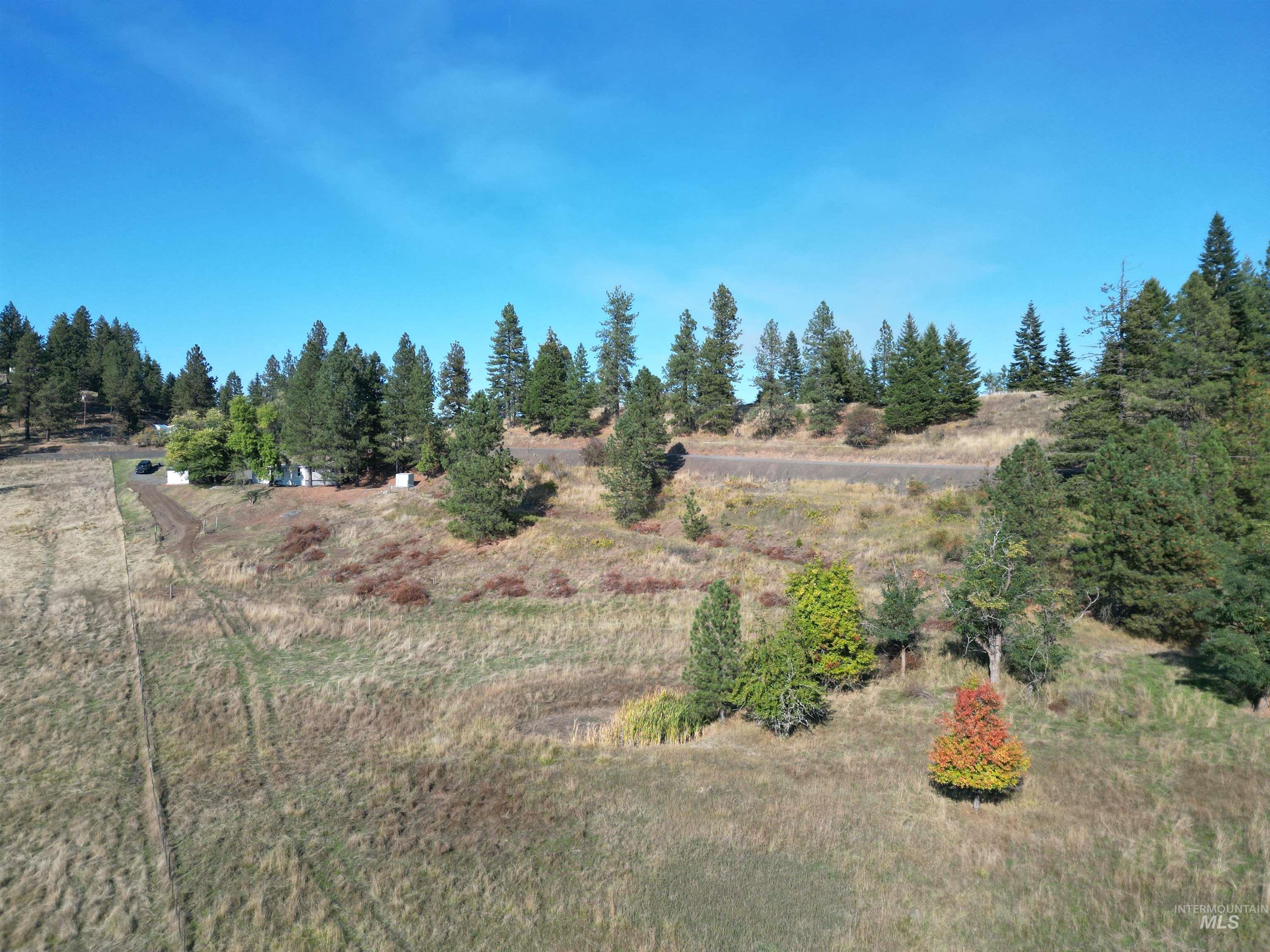 4099 Lakeview Road Orofino, ID 83544 - Photo 32 of 41 Sloping terrain with natural grass, scattered evergreen trees, and mixed deciduous foliage