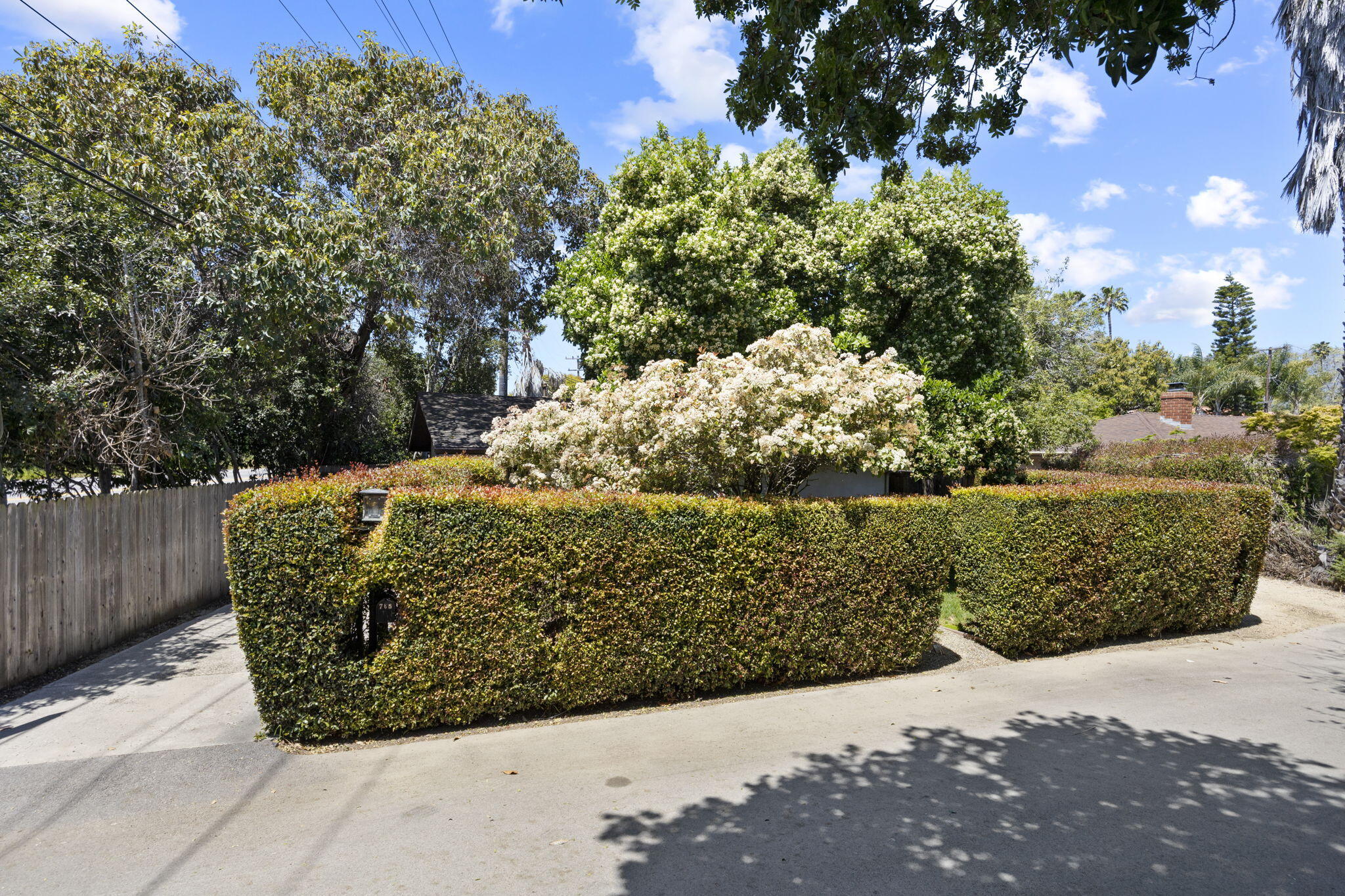 705 Northview Road Santa Barbara, CA 93105 - Photo 41 of 44 yard