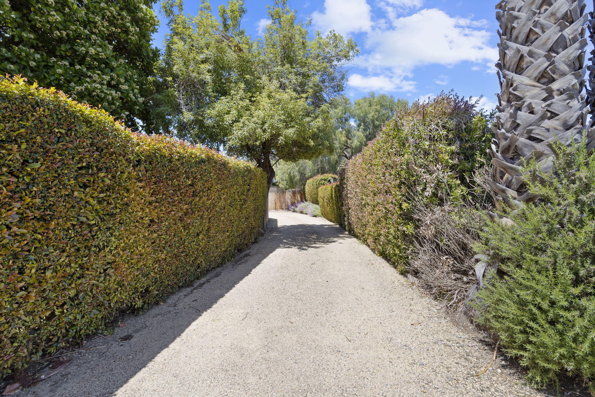 705 Northview Road Santa Barbara, CA 93105 - Photo 43 of 44 common