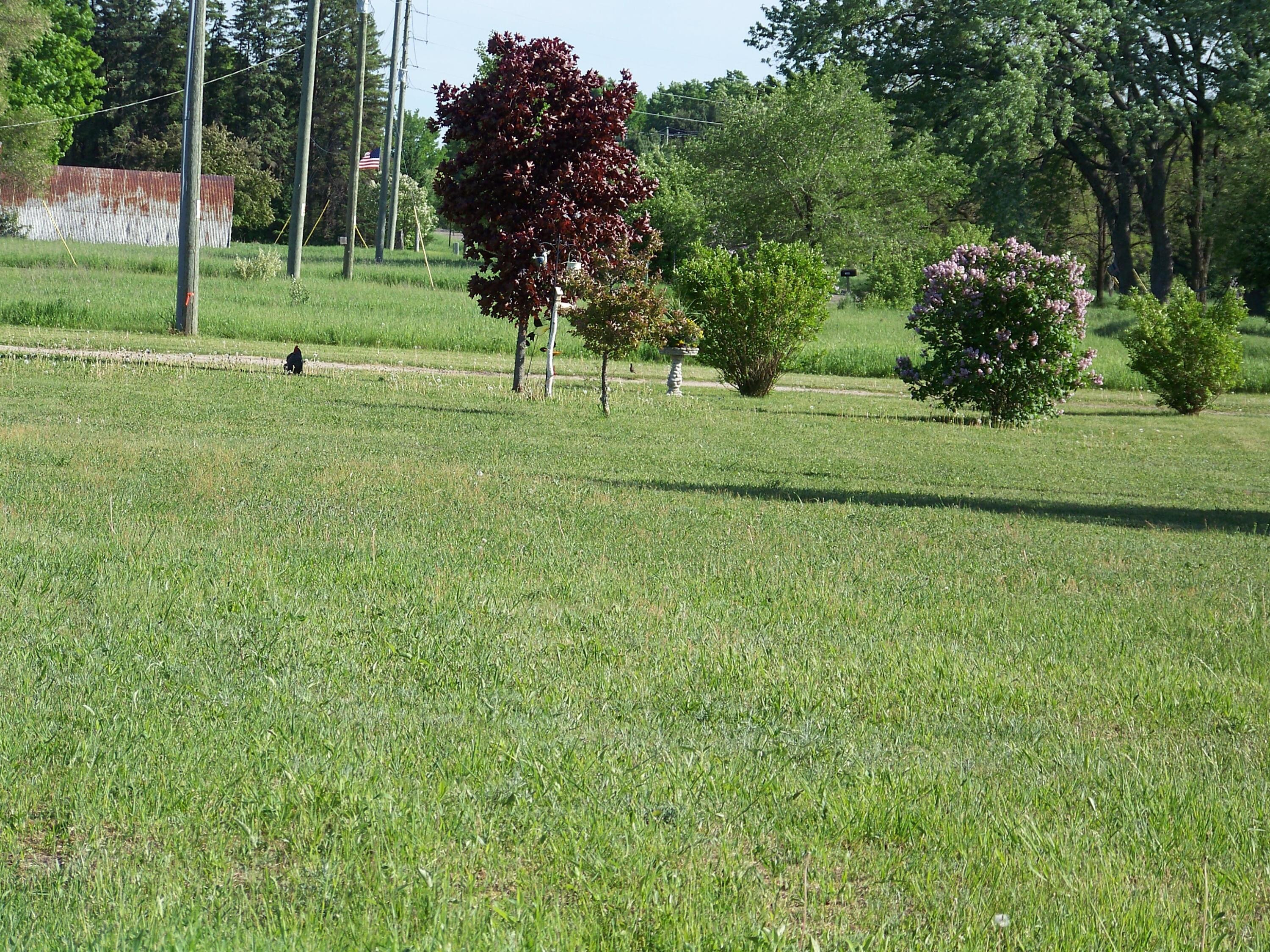 9724 North Sherman Road Frederic, MI 49733 - Photo 66 of 69 Gallery Image 66