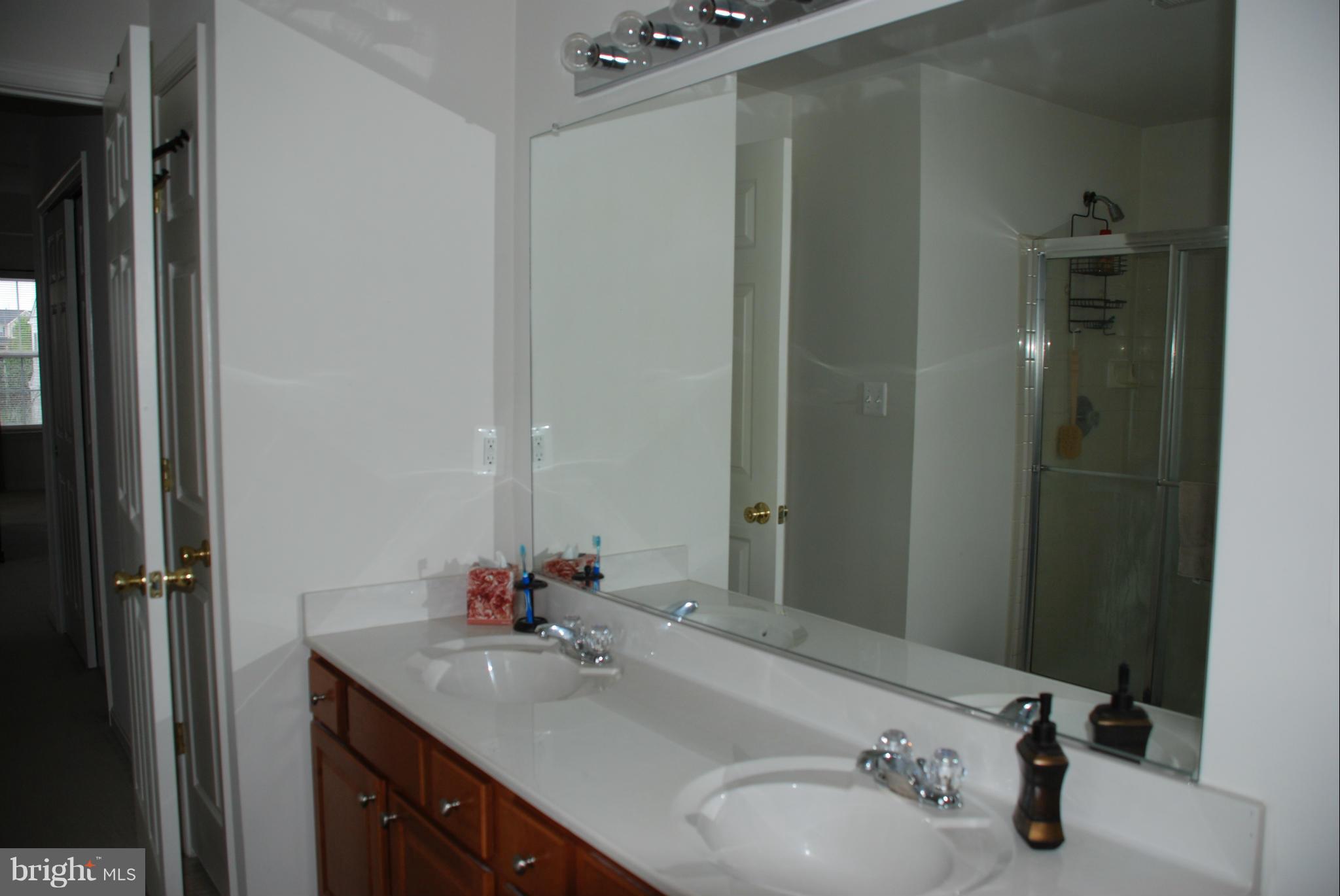 738 Blossom Tree Road Culpeper, VA 22701 - Photo 21 of 30 Bath (Master)