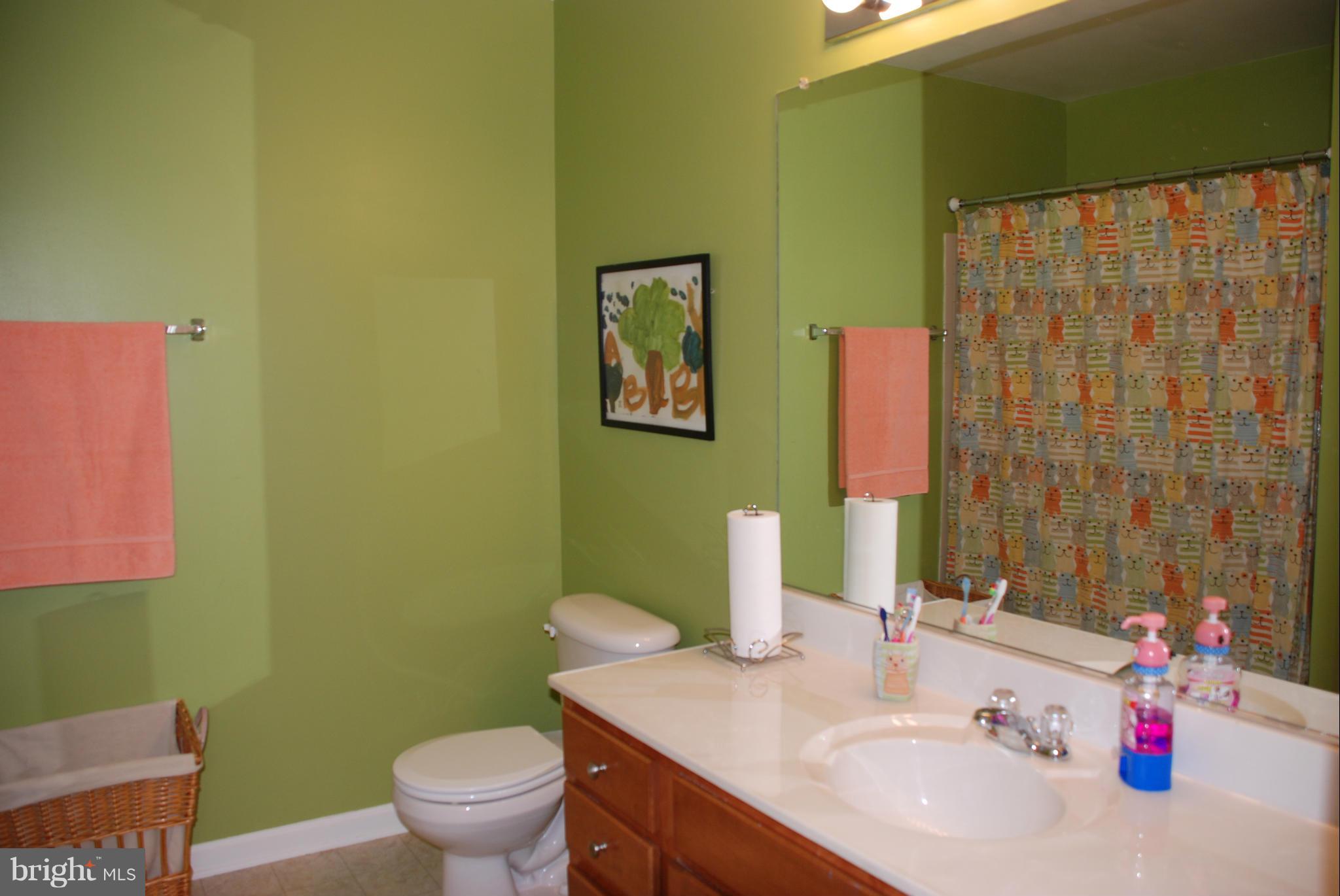738 Blossom Tree Road Culpeper, VA 22701 - Photo 24 of 30 Bath