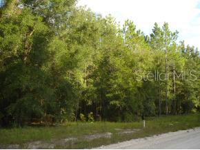 0 Northeast County Road High Springs, FL 32643 - Photo 1 of 1 a view of a park