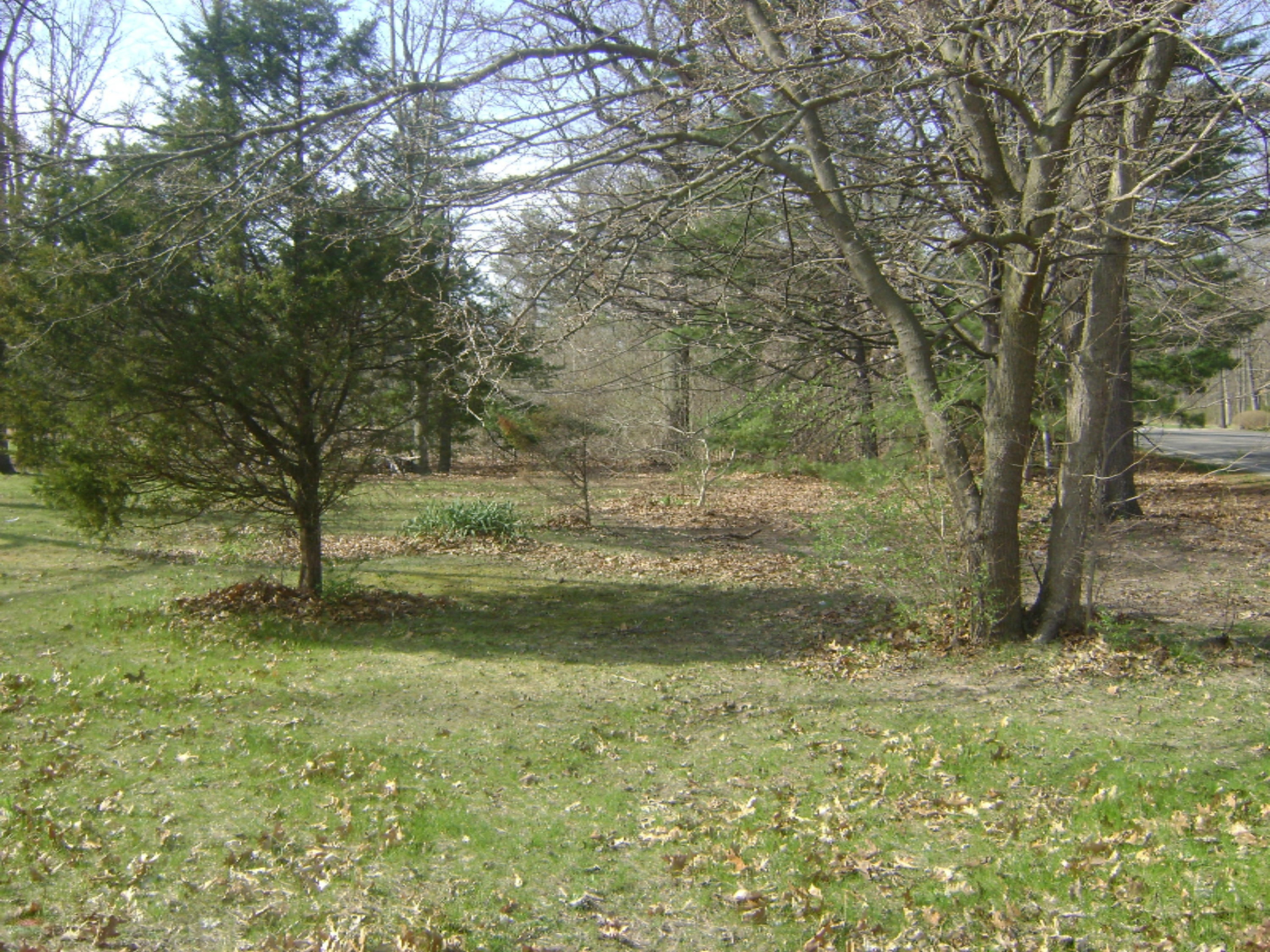 33588 Stateline Road Niles, MI 49120 - Photo 21 of 24 DSC01384