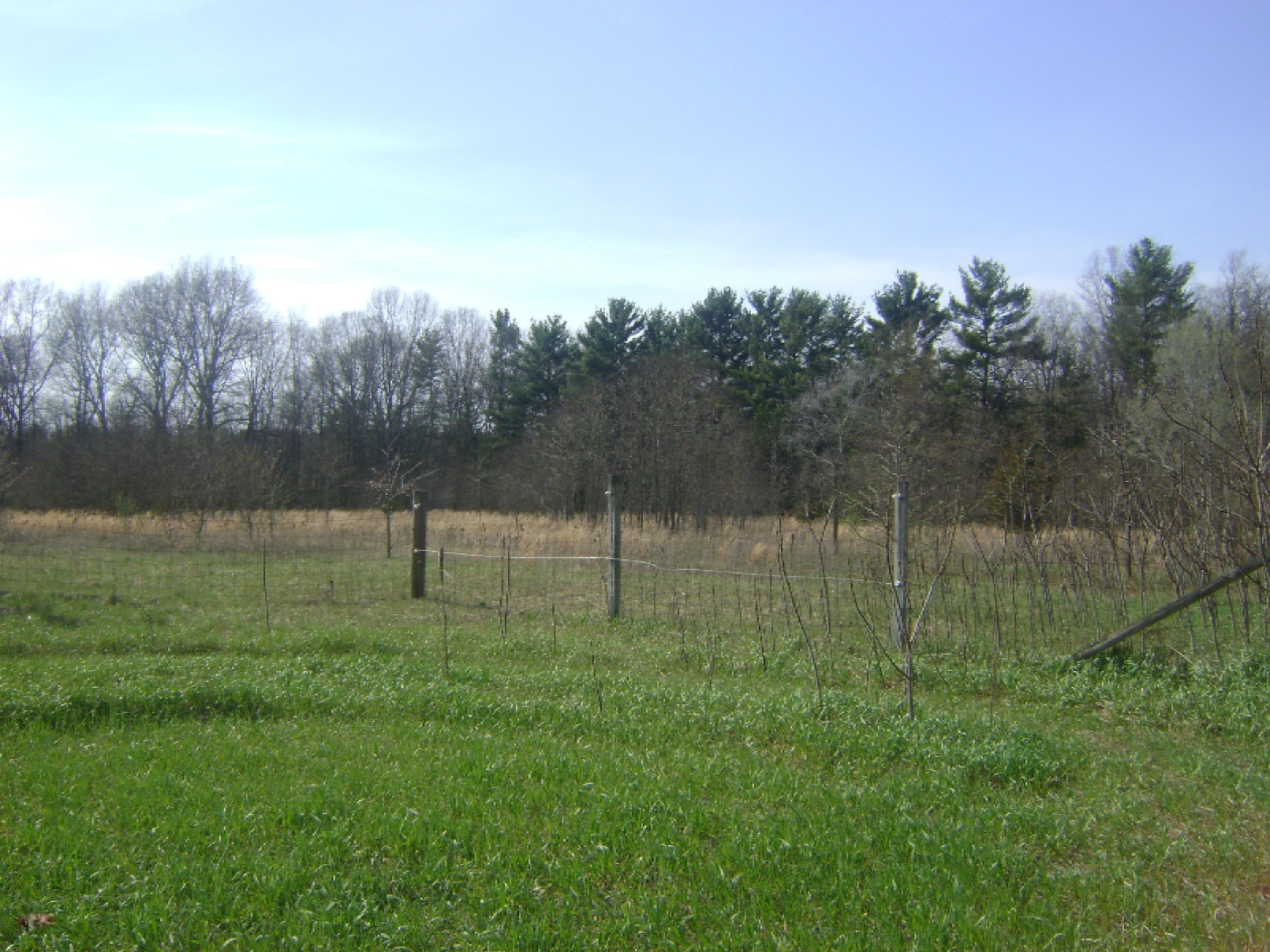 33588 Stateline Road Niles, MI 49120 - Photo 9 of 24 DSC01369