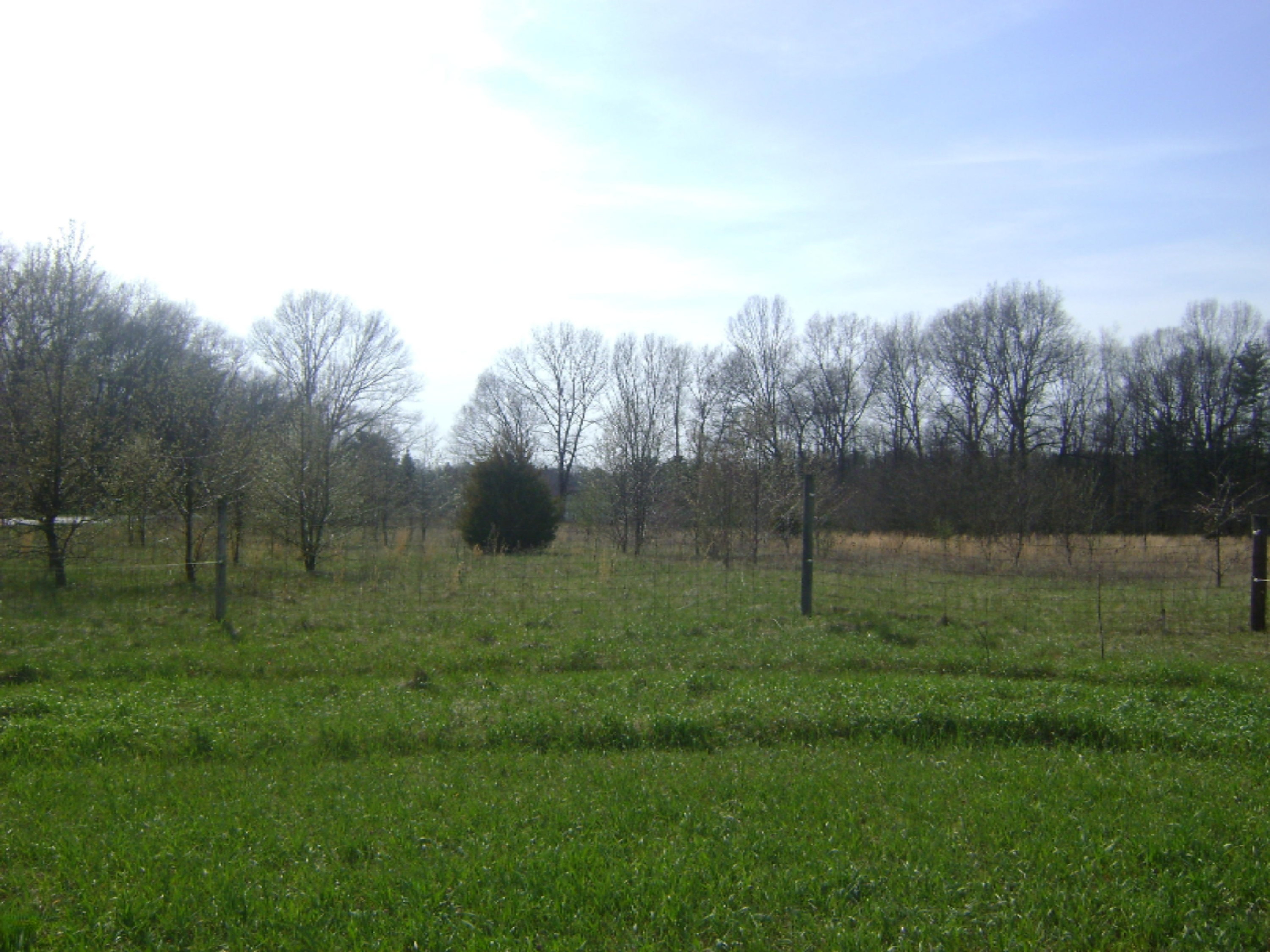 33588 Stateline Road Niles, MI 49120 - Photo 10 of 24 DSC01370