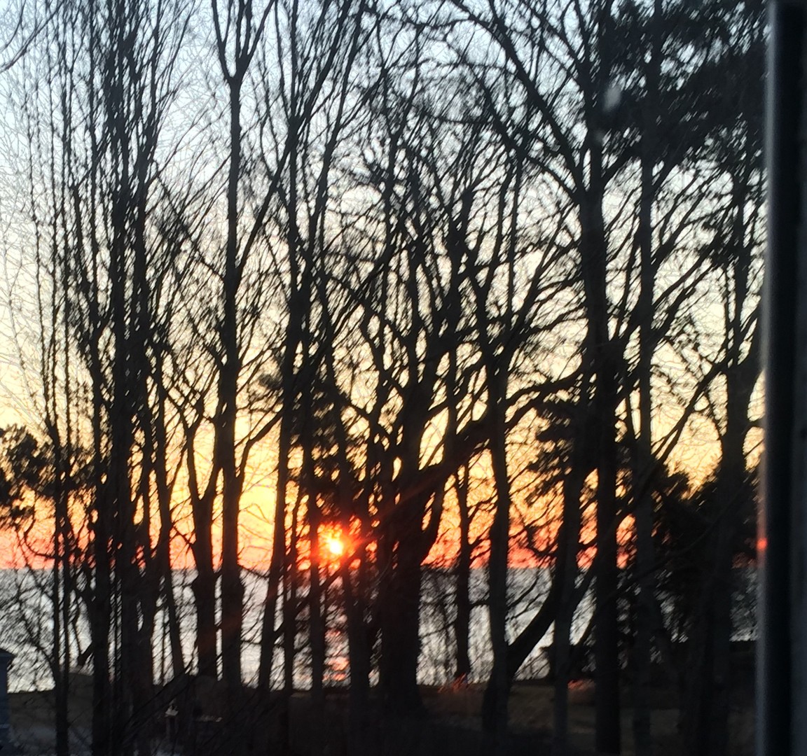 1401 Lake Road Lake Forest, IL 60045 - Photo 35 of 39